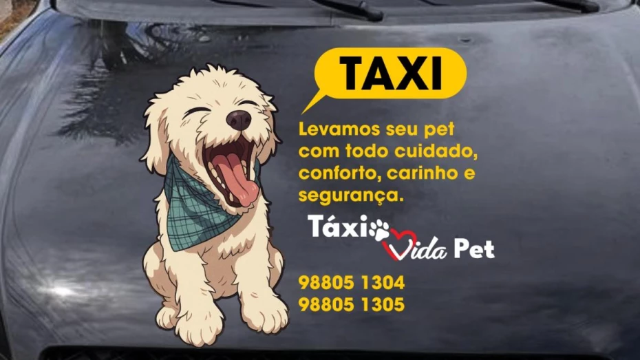Foto 7:  — Táxi Vida Pet