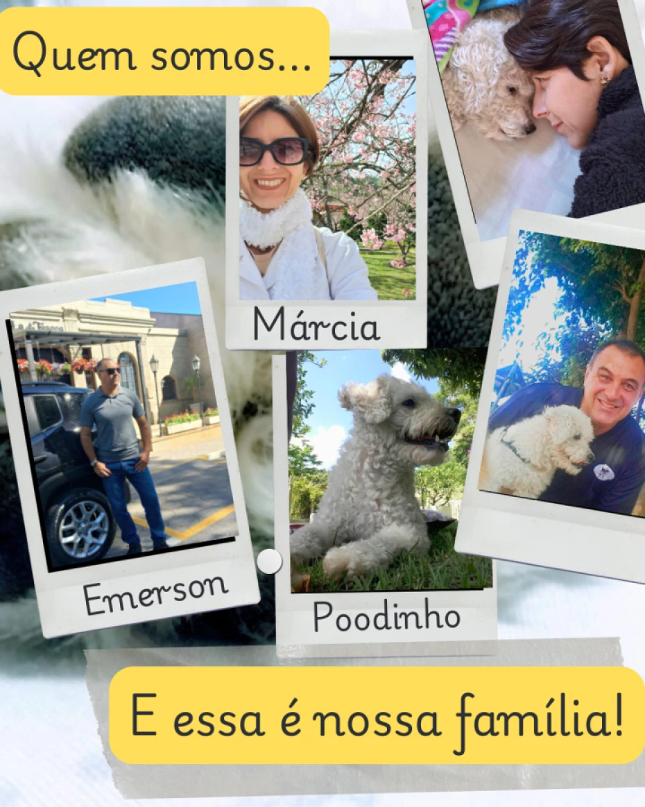 Foto 6:  — Táxi Vida Pet