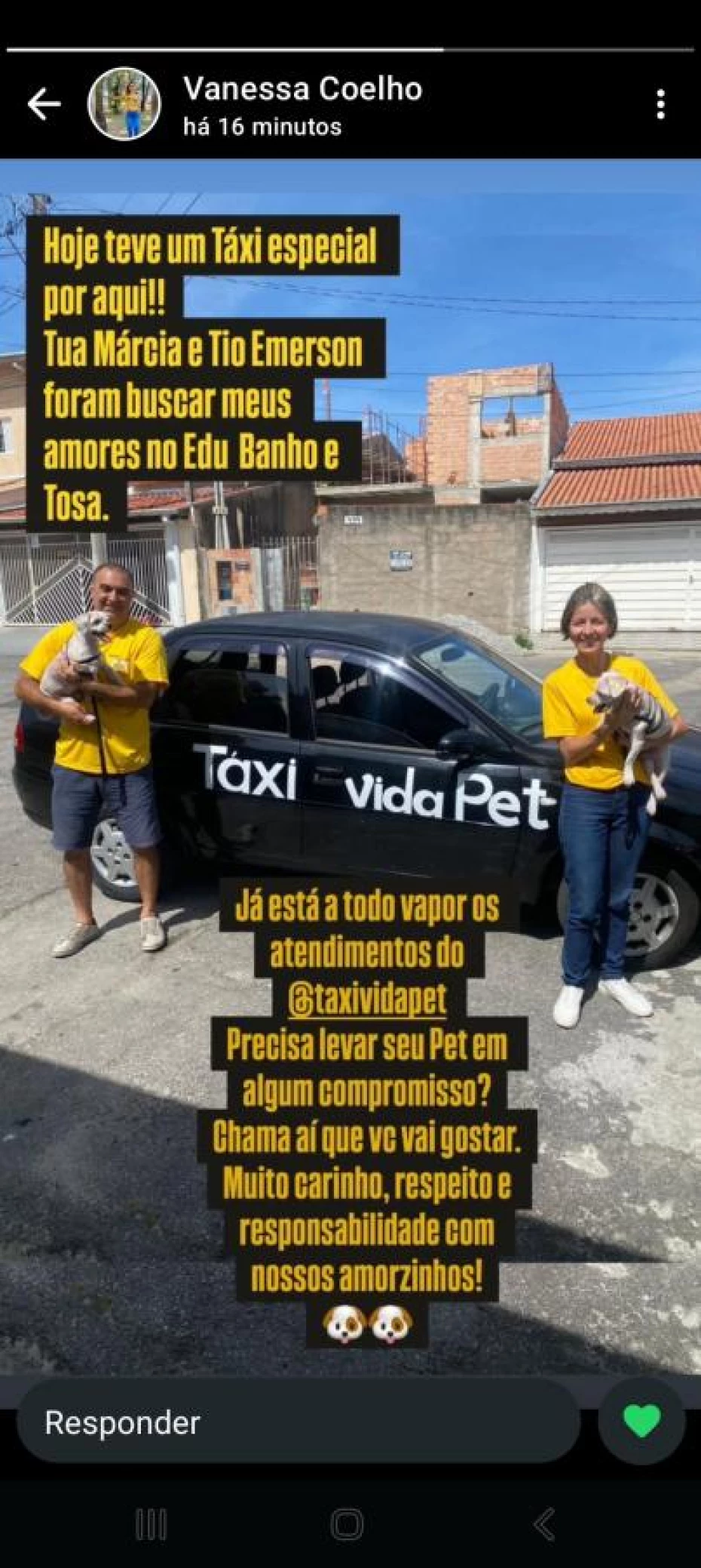 Foto 3:  — Táxi Vida Pet