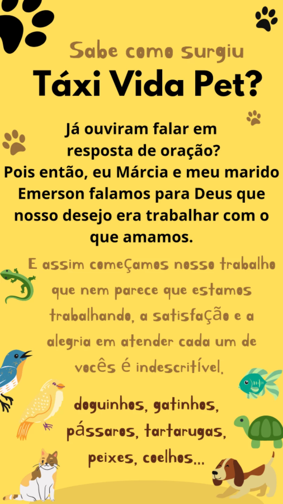 Foto 1:  — Táxi Vida Pet